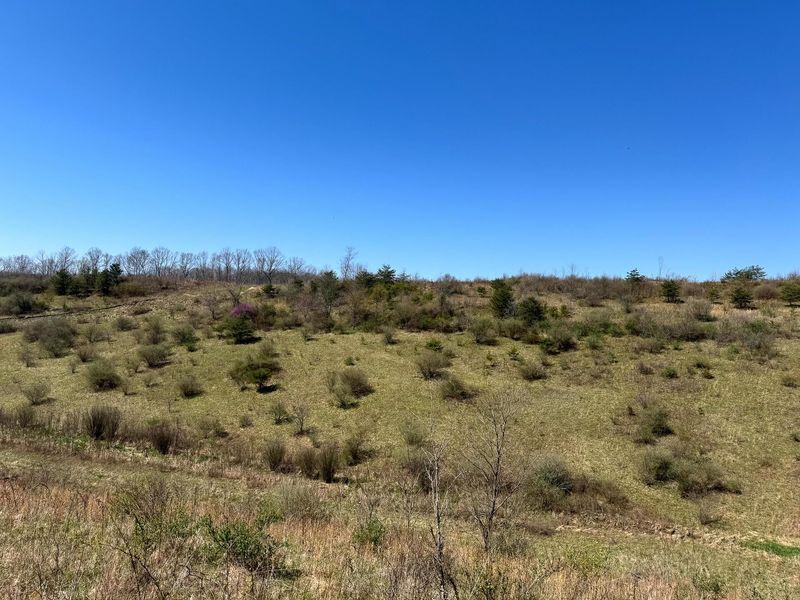 0 Sulphur Spring Road SE, Unit (105 Acre , New Lexington, OH 43764 Photo 14