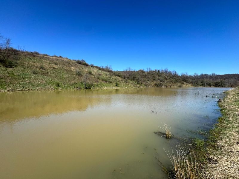 0 Sulphur Spring Road SE, Unit (105 Acre , New Lexington, OH 43764 Photo 18