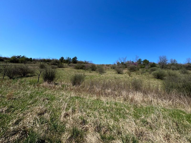 0 Sulphur Spring Road SE, Unit (105 Acre , New Lexington, OH 43764 Photo 21