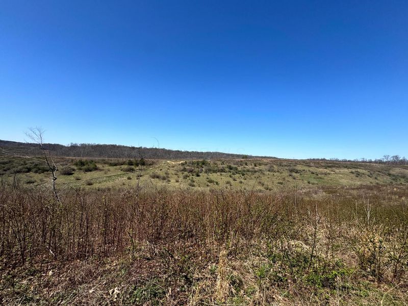 0 Sulphur Spring Road SE, Unit (105 Acre , New Lexington, OH 43764 Photo 23