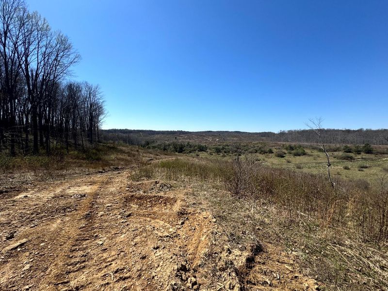 0 Sulphur Spring Road SE, Unit (105 Acre , New Lexington, OH 43764 Photo 26