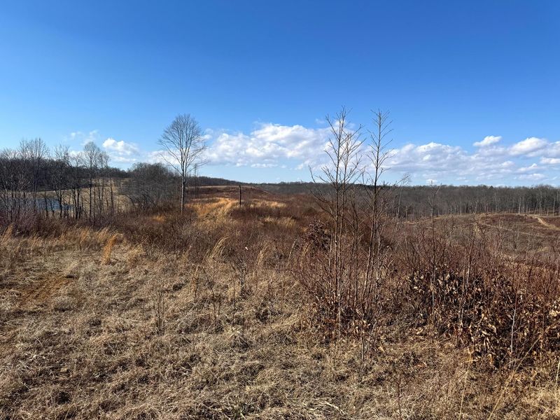 0 Sulphur Spring Road SE, Unit (105 Acre , New Lexington, OH 43764 Photo 3