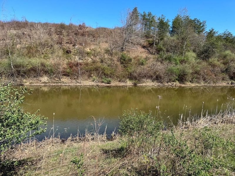 0 Sulphur Spring Road SE, Unit (105 Acre , New Lexington, OH 43764 Photo 7