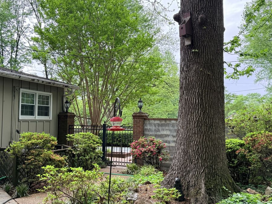 Property Image 46
