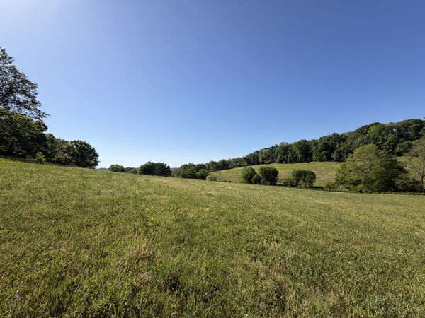 0 Steam Mill Hollow Road Tract 1 , Williamsport, TN 38487