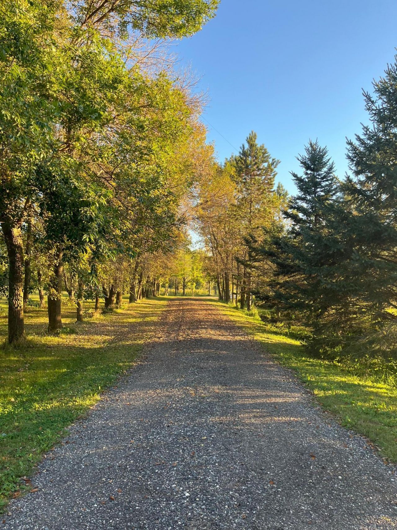 4250 35th Street SW, Waverly, MN 55390