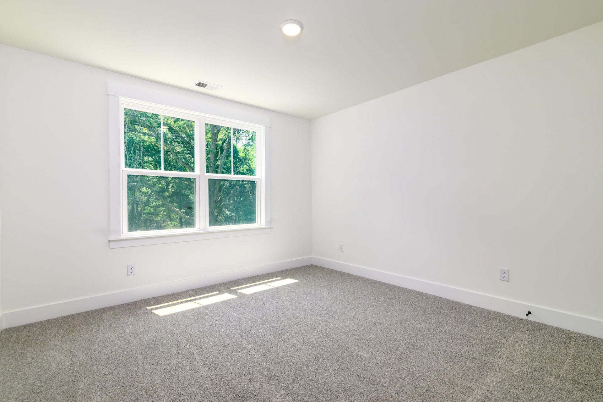 1810 Turkey Pen Road Photo 28