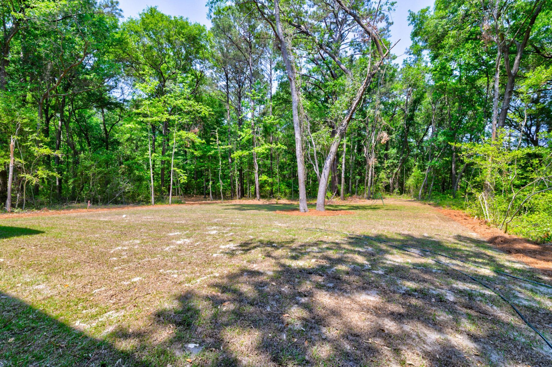 1810 Turkey Pen Road Photo 33