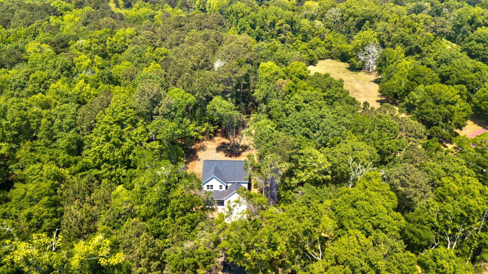 1810 Turkey Pen Road Photo 5
