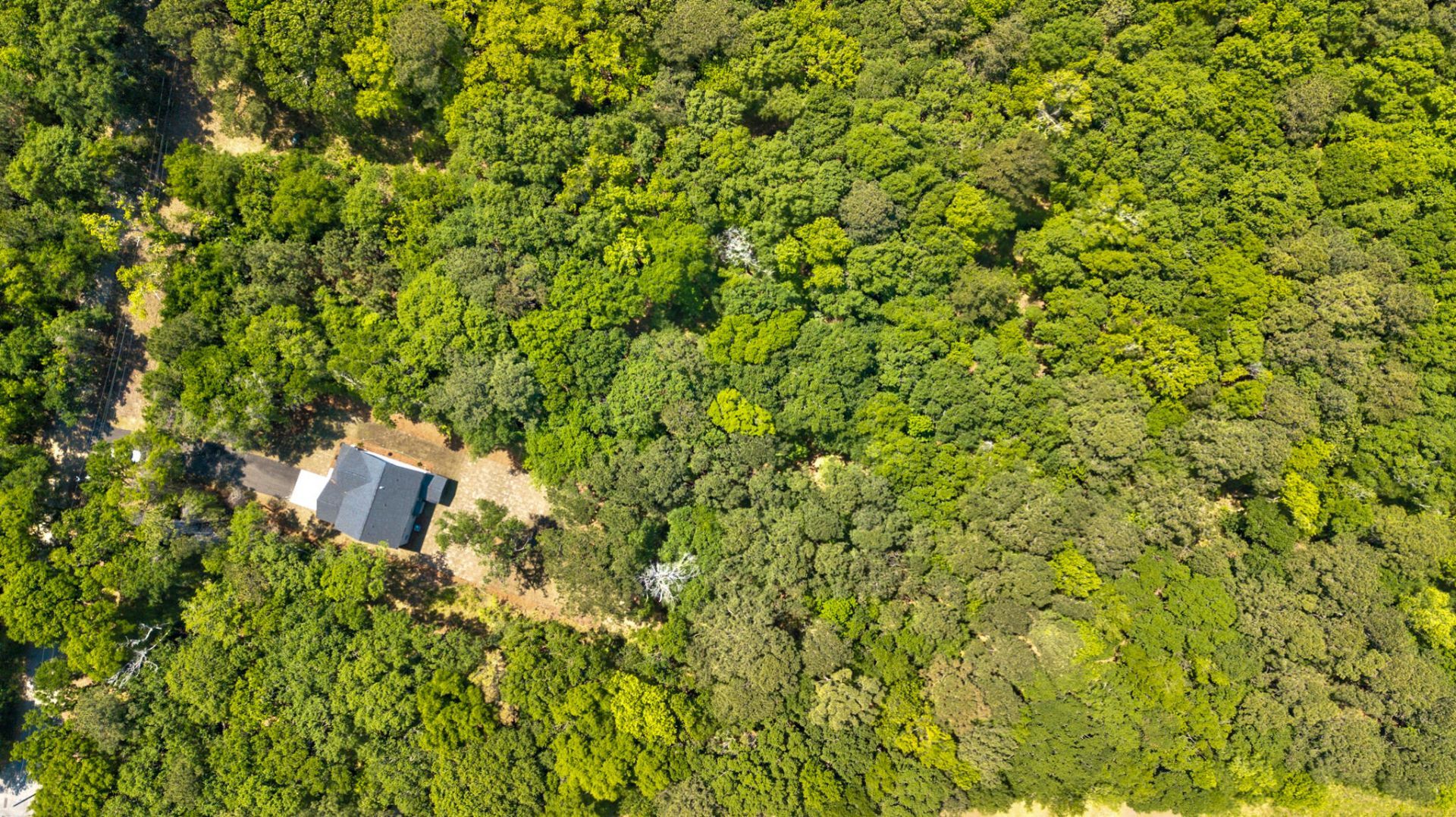 1810 Turkey Pen Road Photo 51