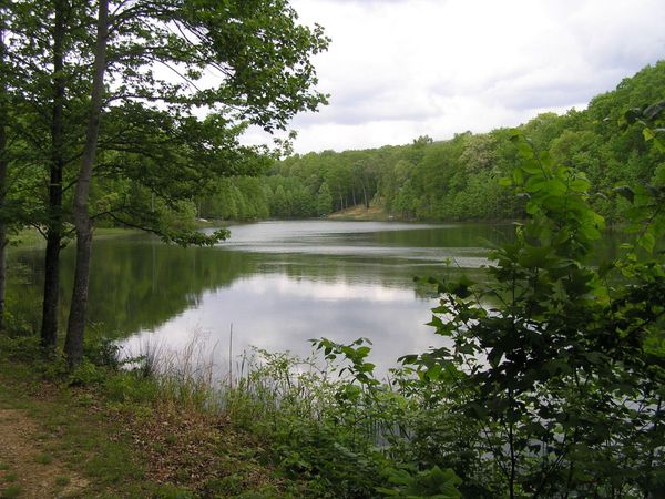 100 Valley View Drive, Altamont, TN 37301