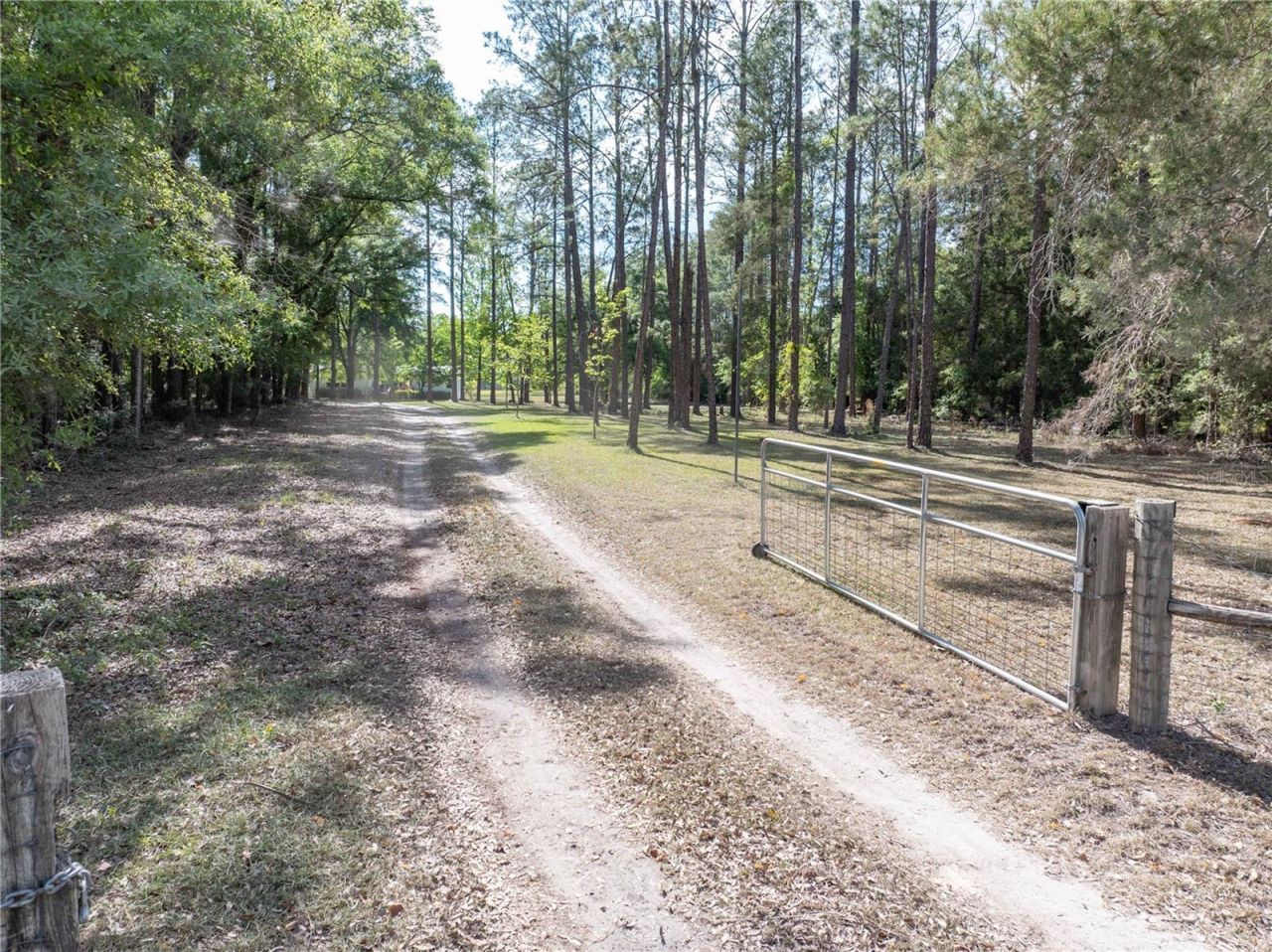159 SW 70th Avenue, Bell, FL 32619 Photo