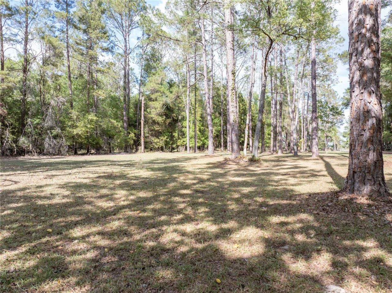 159 SW 70th Avenue, Bell, FL 32619 Photo