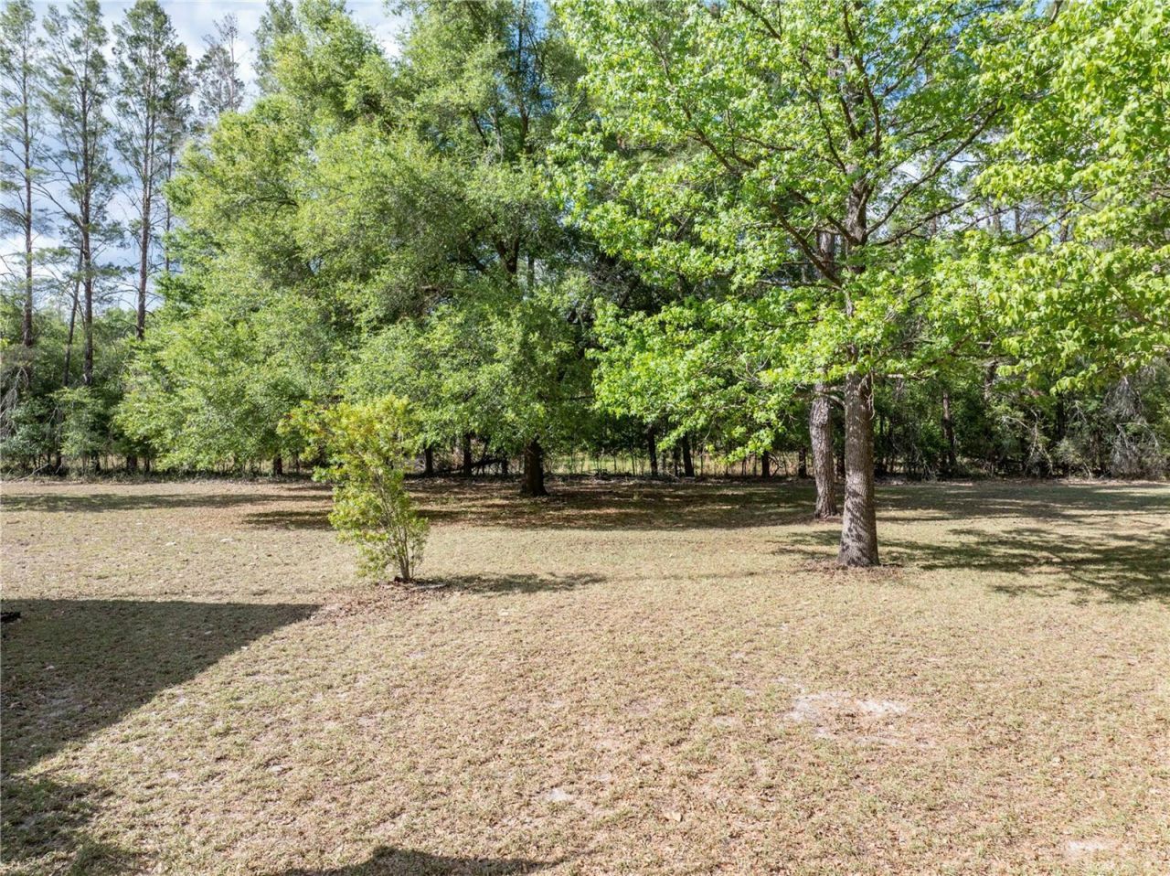 159 SW 70th Avenue, Bell, FL 32619 Photo