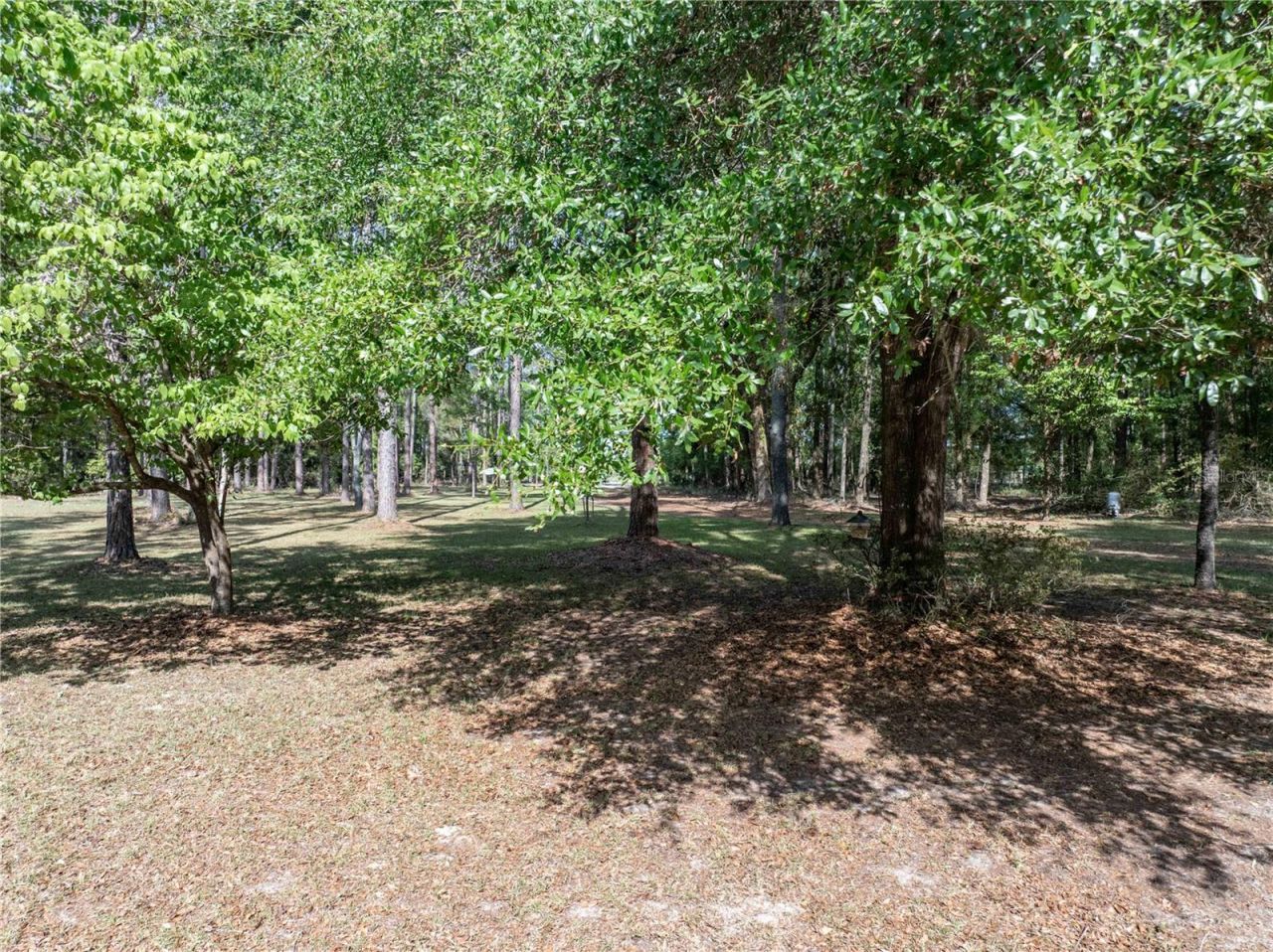 159 SW 70th Avenue, Bell, FL 32619 Photo
