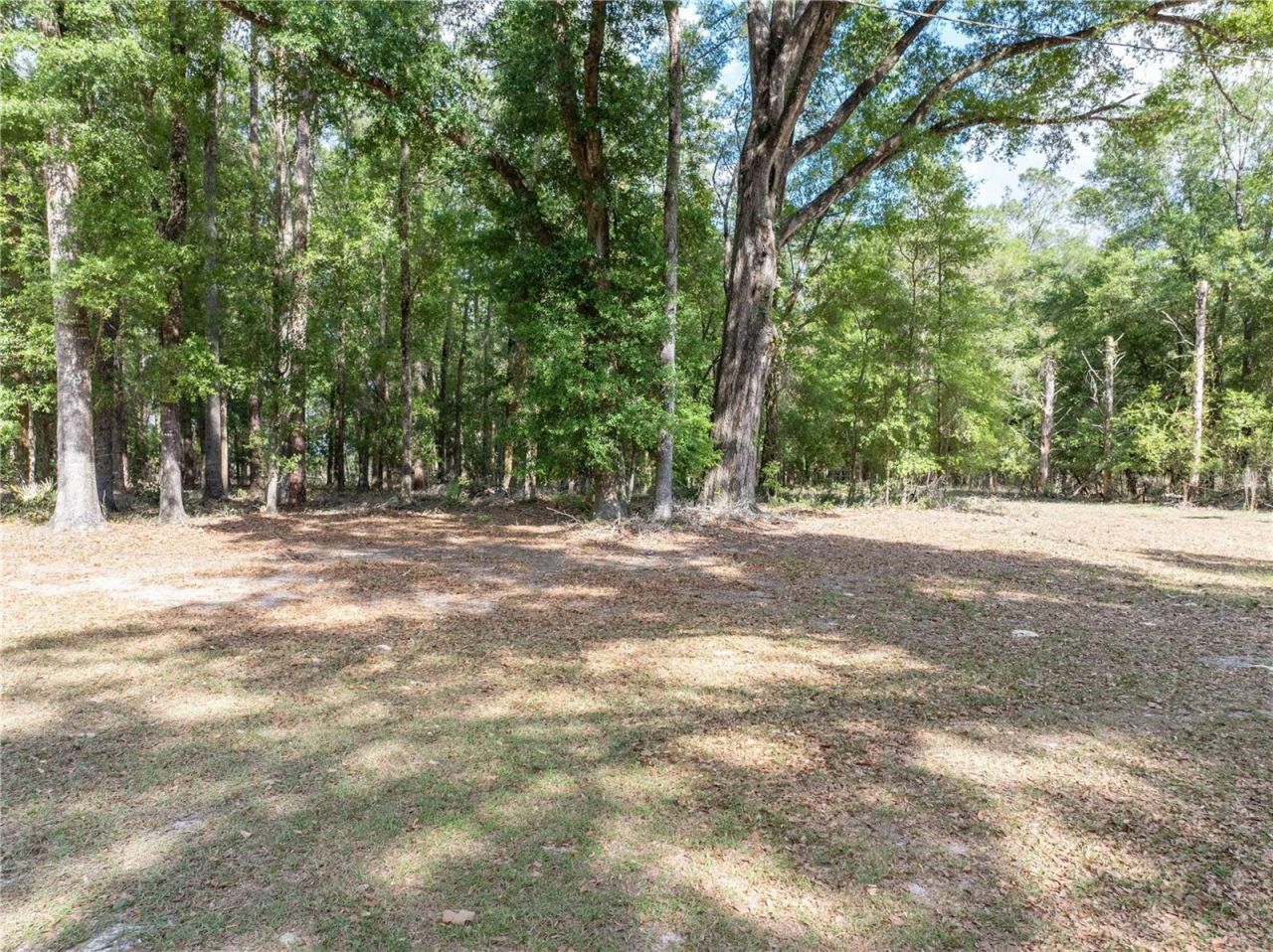 159 SW 70th Avenue, Bell, FL 32619 Photo
