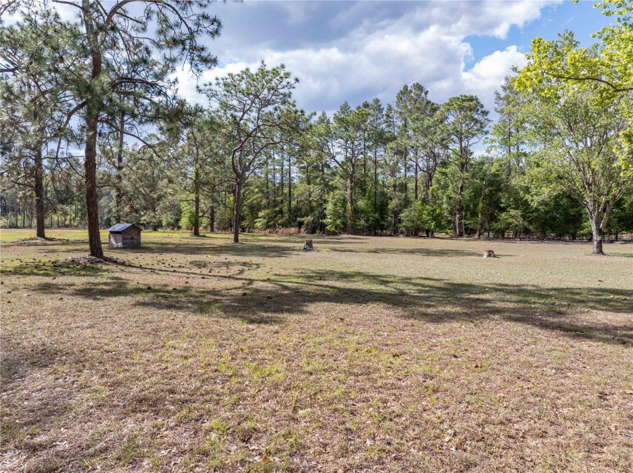 159 SW 70th Avenue, Bell, FL 32619 Photo