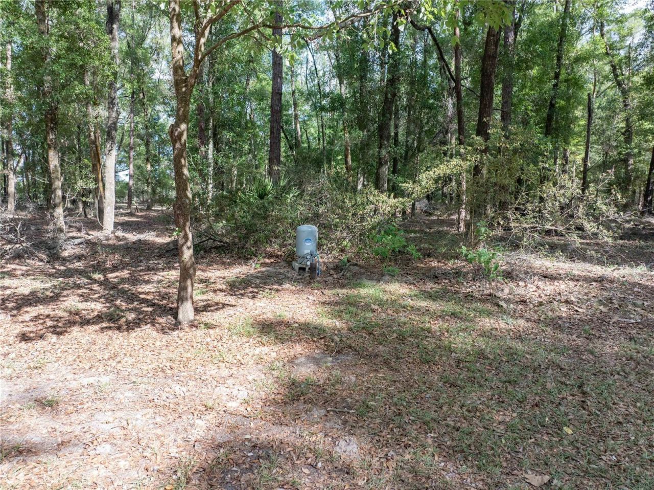159 SW 70th Avenue, Bell, FL 32619 Photo