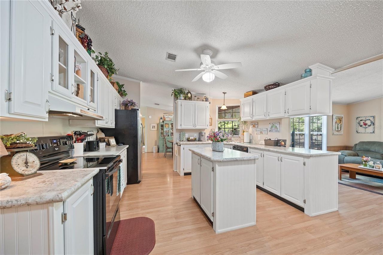 159 SW 70th Avenue, Bell, FL 32619 Photo