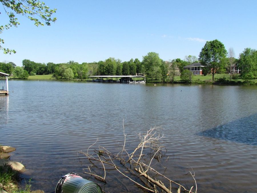 Property Image 38