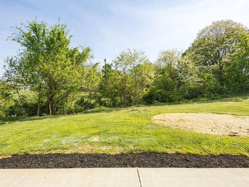 232 University Drive, Walton, KY 41094 Photo 29