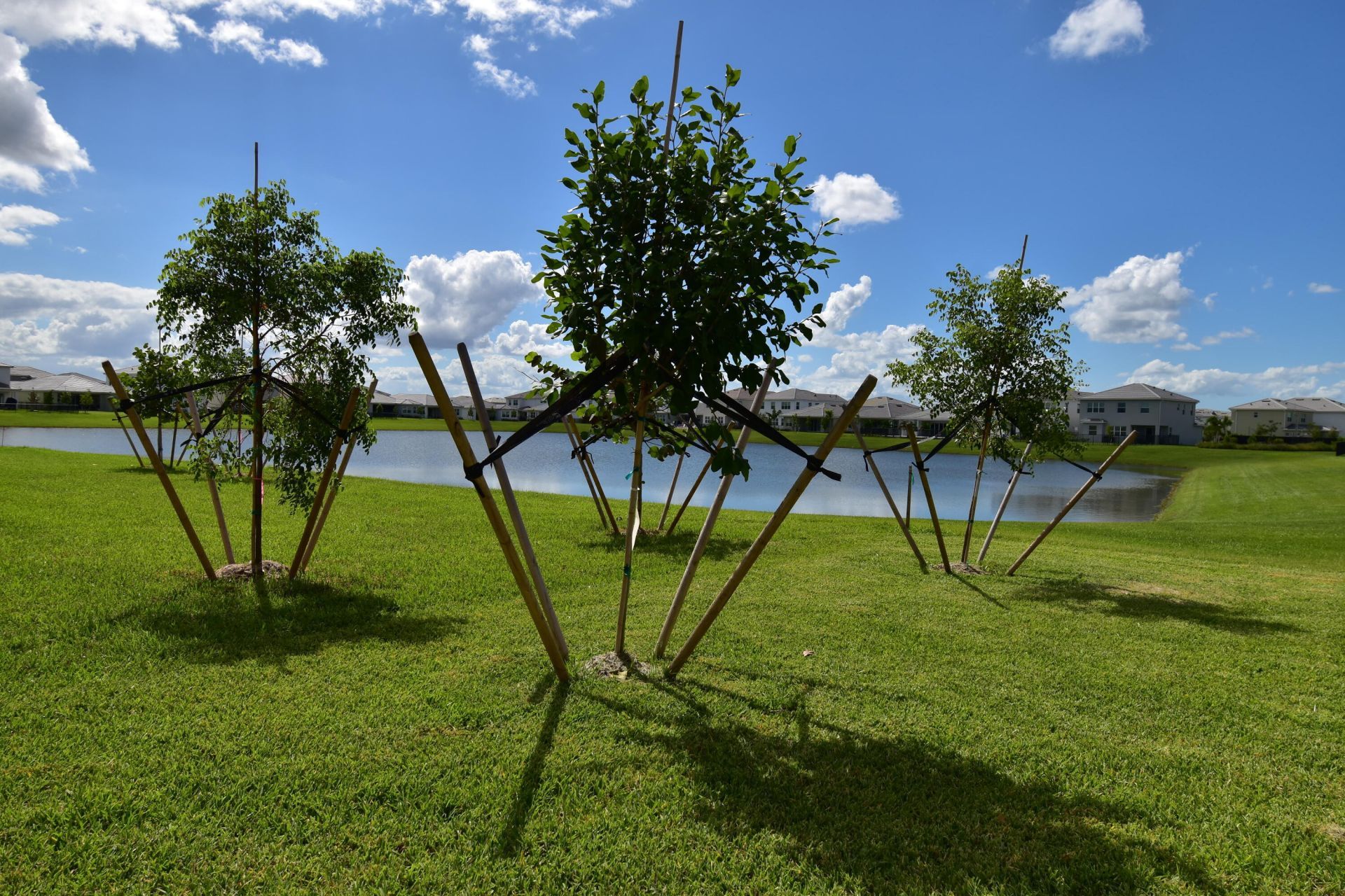 5773 Aleppo Pne Place, Westlake, FL 33470 Photo