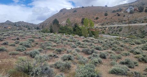 0 Highway 341, Silver City, NV 89428 Photo