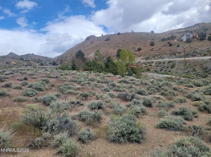 0 Highway 341, Silver City, NV 89428 Photo