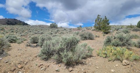 0 Highway 341, Silver City, NV 89428 Photo