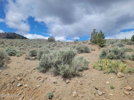 0 Highway 341, Silver City, NV 89428 Photo