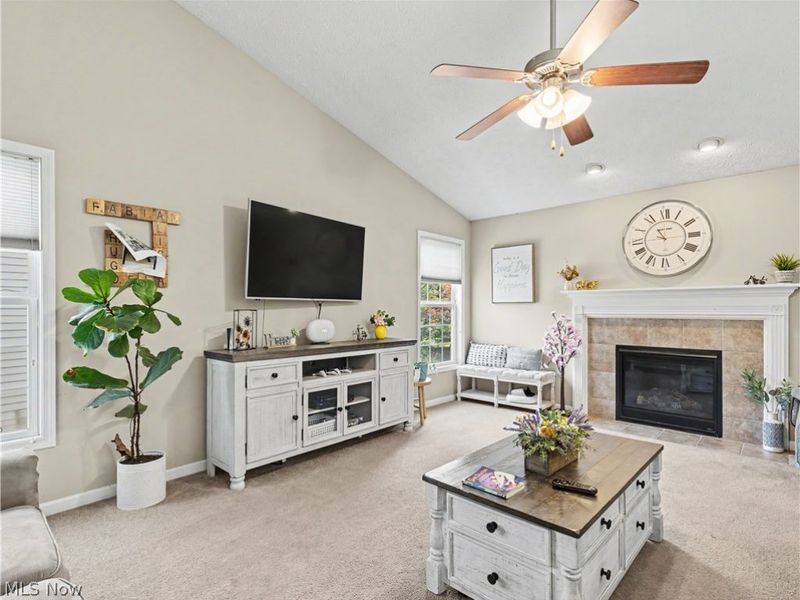 38122 Rocky Run Court, North Ridgeville, OH 44039 Photo 6