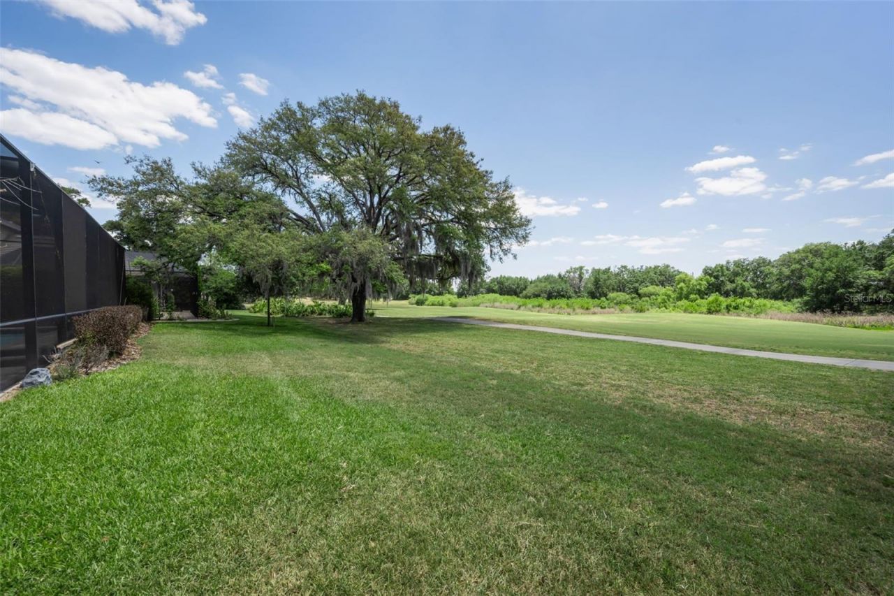 1015 Bellamare Trail, Trinity, FL 34655 Photo