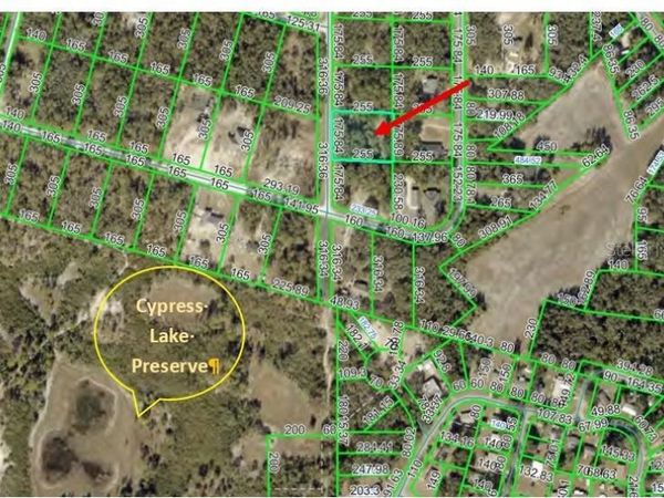 000 NORMAN STREET , WEBSTER, FL 33597