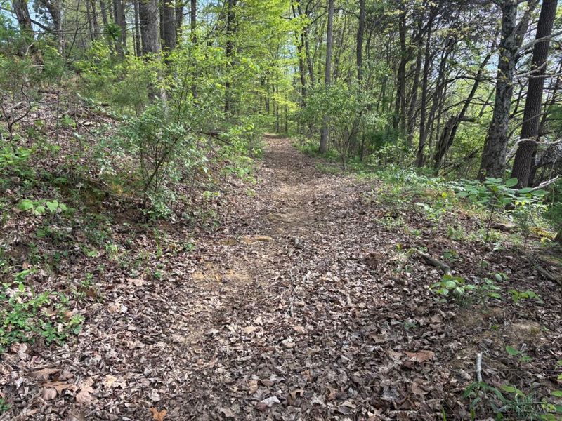 1000 Locust Road, Jackson Twp, OH 45133 Photo 27