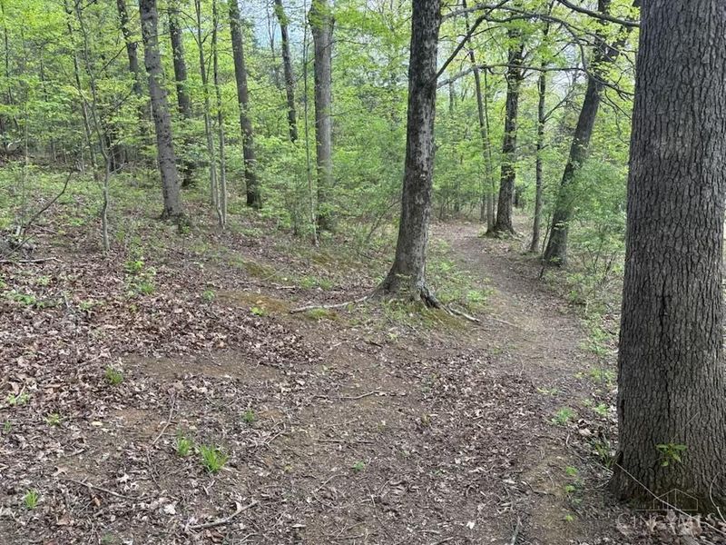 1000 Locust Road, Jackson Twp, OH 45133 Photo 28