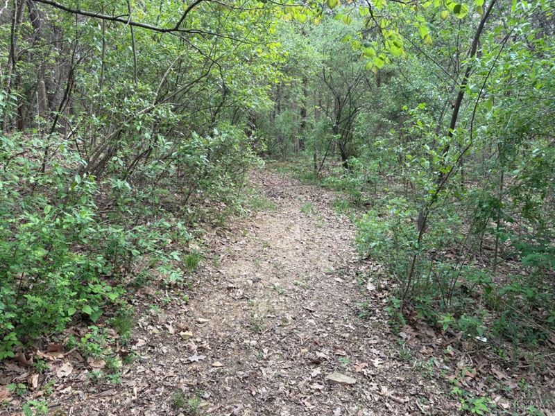 1000 Locust Road, Jackson Twp, OH 45133 Photo 29