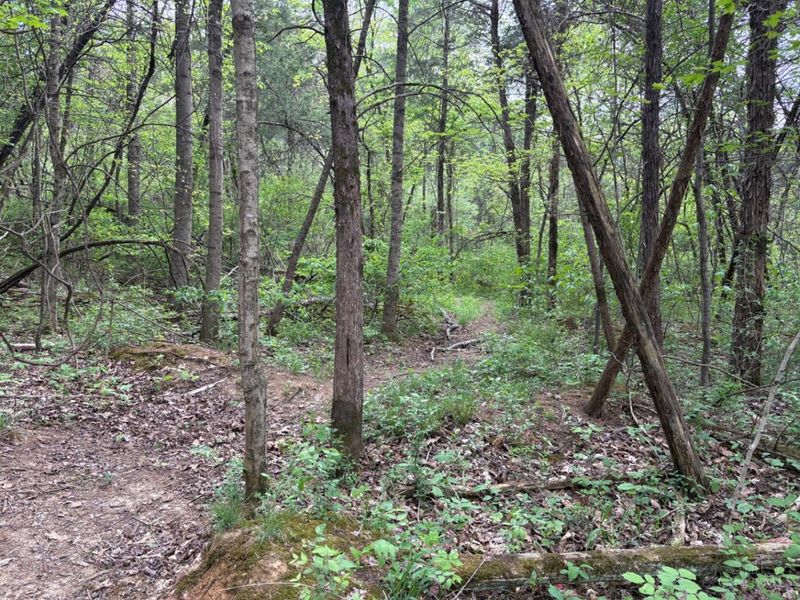 1000 Locust Road, Jackson Twp, OH 45133 Photo 30