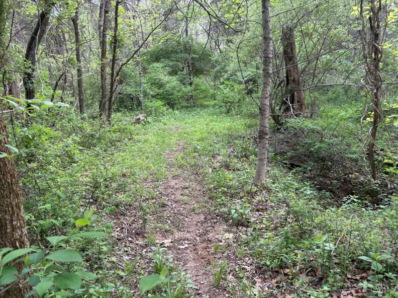 1000 Locust Road, Jackson Twp, OH 45133 Photo 31