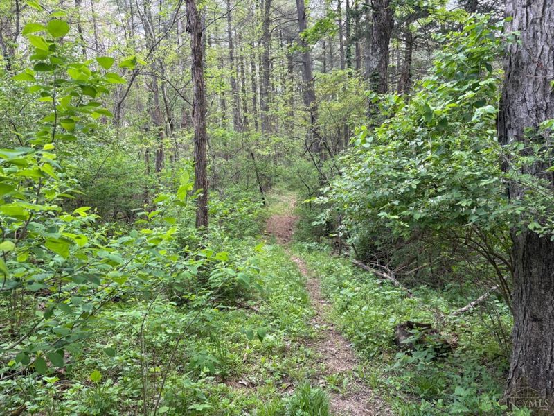 1000 Locust Road, Jackson Twp, OH 45133 Photo 32