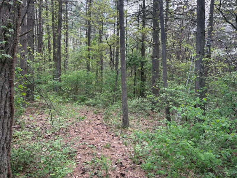 1000 Locust Road, Jackson Twp, OH 45133 Photo 33