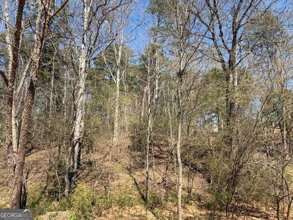 LOT 0 Jack Pittman Road, Dacula, GA 30019