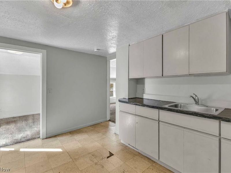 7606 Vineyard Avenue, Garfield Heights, OH 44105 Photo 8