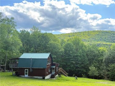 311 Fall Clove Road, Delancey, NY 13752