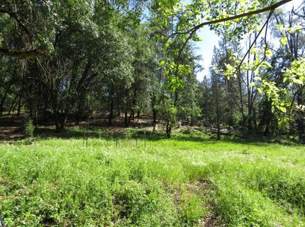 24040 Tokayana Way, Colfax, CA 95713 Photo