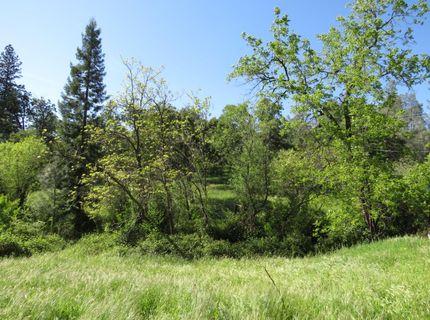 24040 Tokayana Way, Colfax, CA 95713 Photo