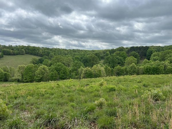 Co Rd 321 Route 5 , Ava, MO 65608