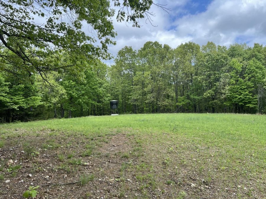 Property Image 21