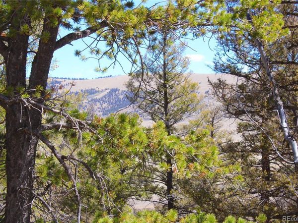 2882 Middle Fork Vista , Fairplay, CO 80440