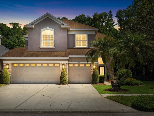 9642 GRETNA GREEN DRIVE , TAMPA, FL 33626