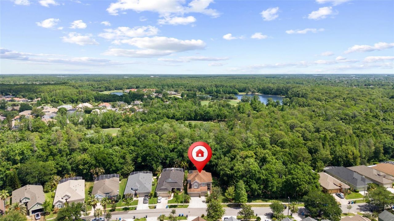 9642 Gretna Green Drive, Tampa, FL 33626 Photo